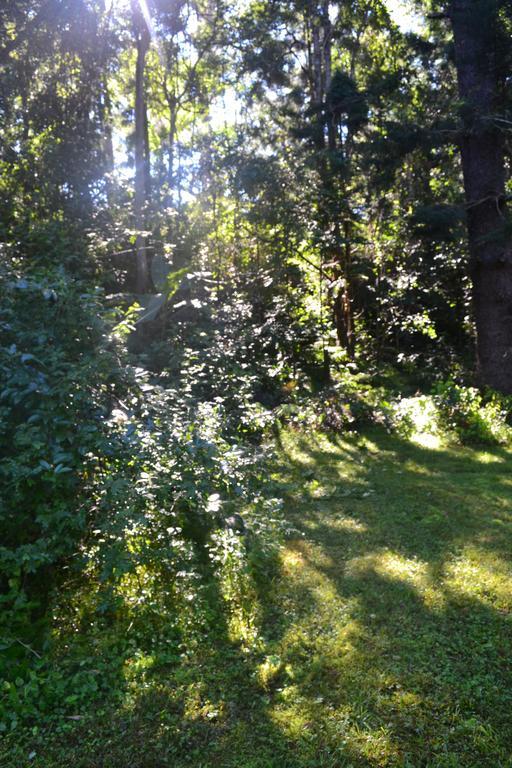 Отель Tuckers Retreat Canungra Экстерьер фото