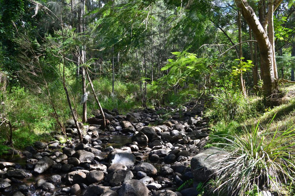 Отель Tuckers Retreat Canungra Экстерьер фото