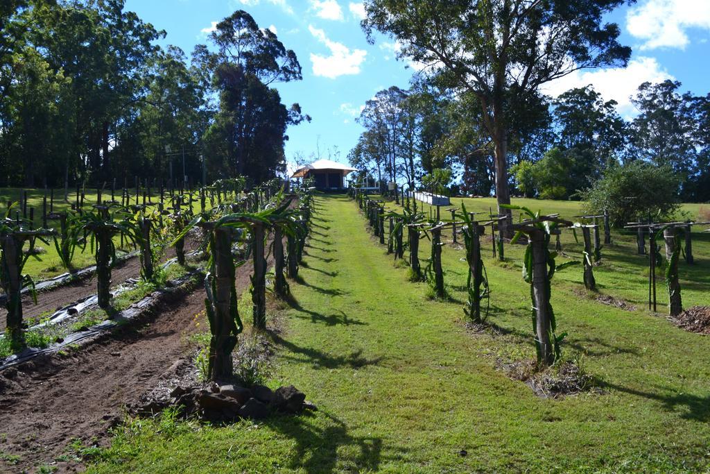 Отель Tuckers Retreat Canungra Экстерьер фото