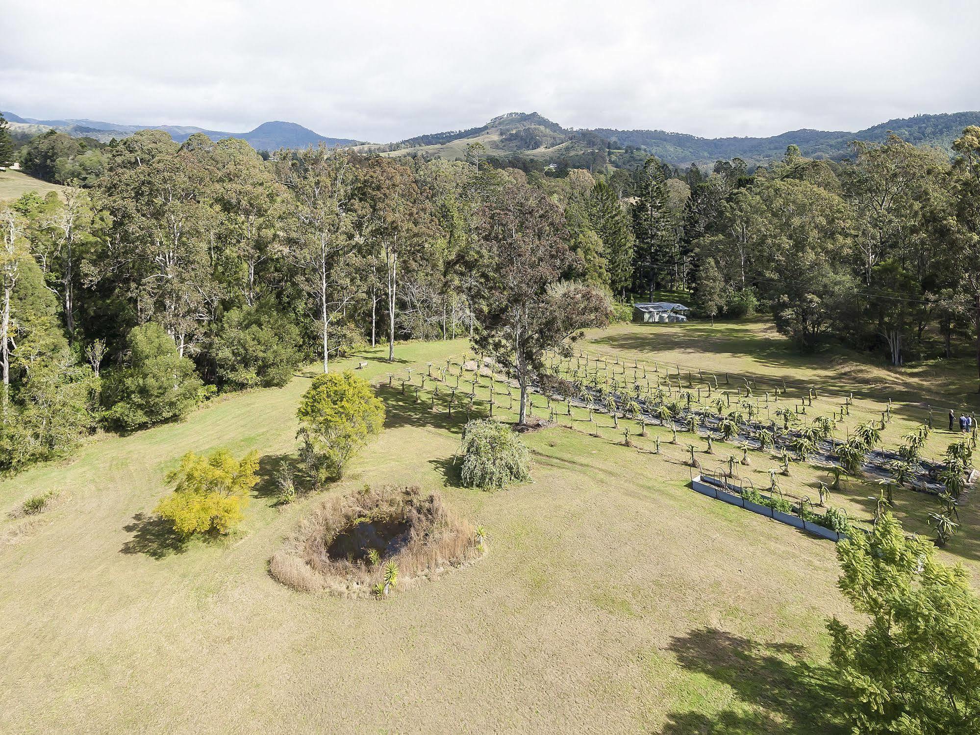 Отель Tuckers Retreat Canungra Экстерьер фото